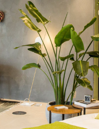 Resin walls at Conran Shop